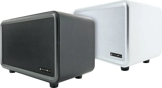 Schwaiger Altoparlante Bluetooth RBS224 24W Nero