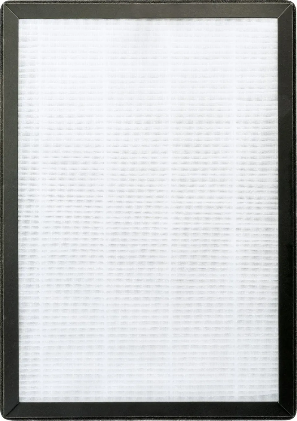 Schwaiger filtro HEPA H13 carboni attivi per purificatore 658019
