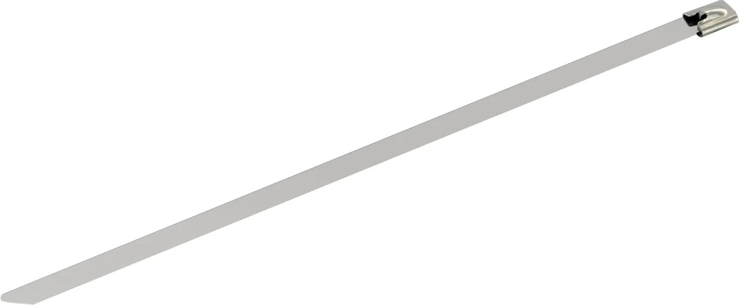 Schwaiger Fascette Acciaio Inox 25 cm Set 10 Pezzi