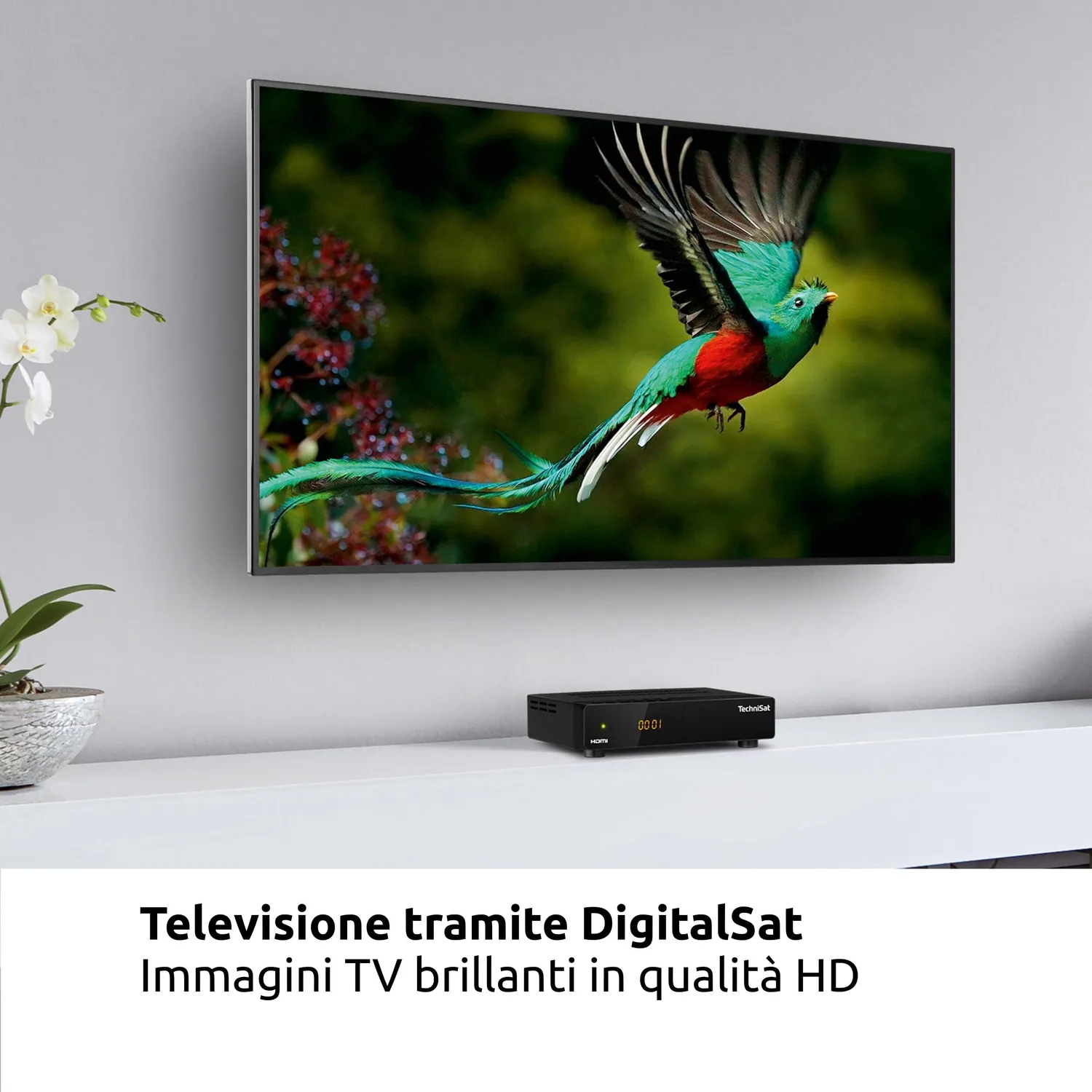 TechniSat HD-S 261 ricevitore satellitare HD HDMI