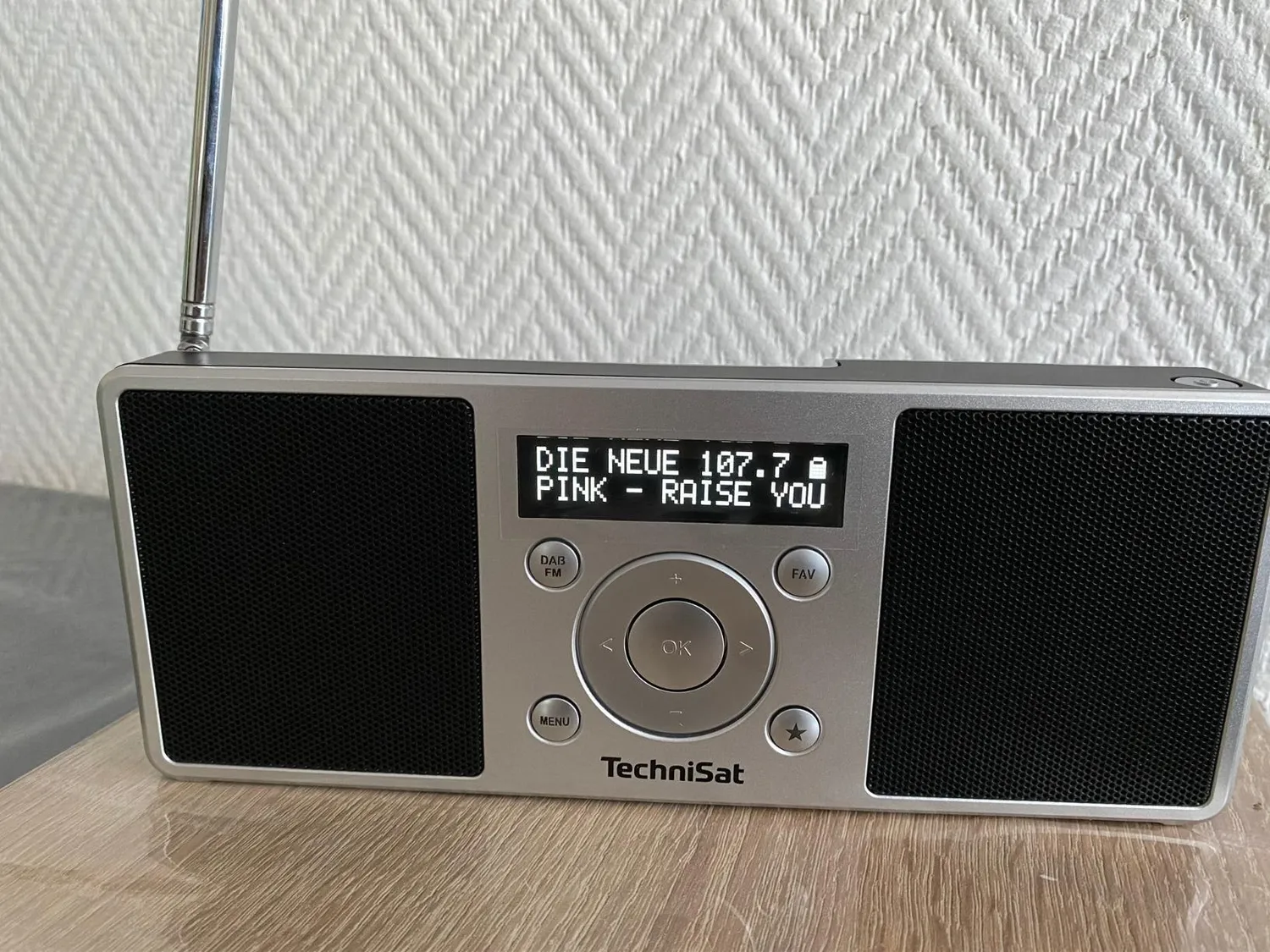 TechniSat DIGITRADIO 1 S radio DAB portatile argento