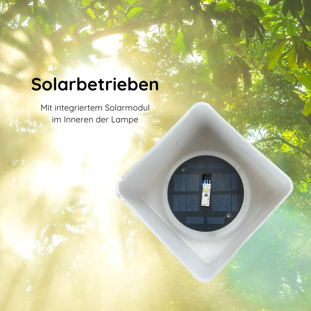 Schwaiger Lampada Solare Tavolo RGB IP44 con Telecomando