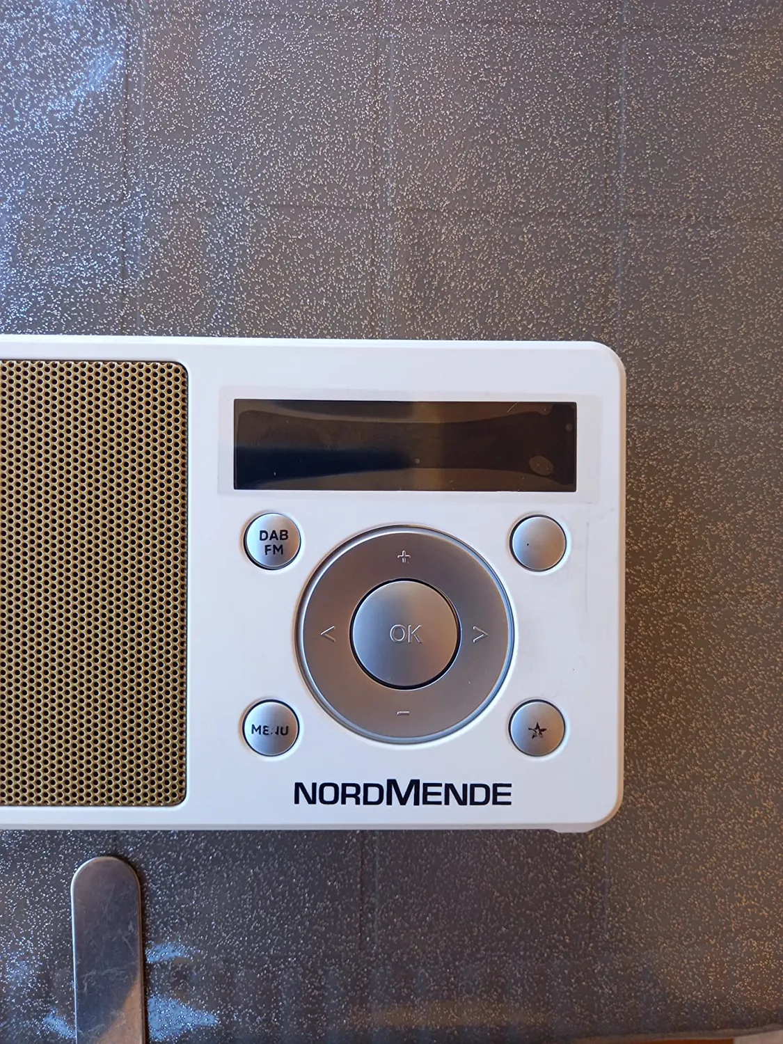 TechniSat DIGITRADIO 1 Radio DAB+ Portatile Argento/Arancione OLED