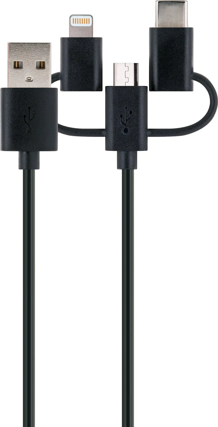 Schwaiger Smart set caricatore 12V 230V cavo 3 in 1