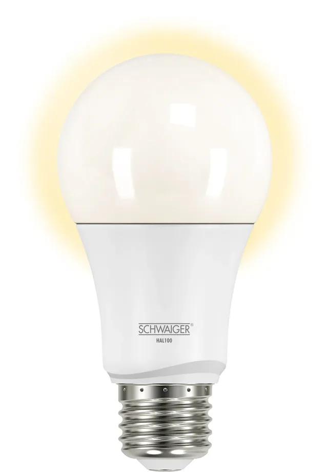 Schwaiger Home4You lampadina smart E27 dimmerabile luce calda