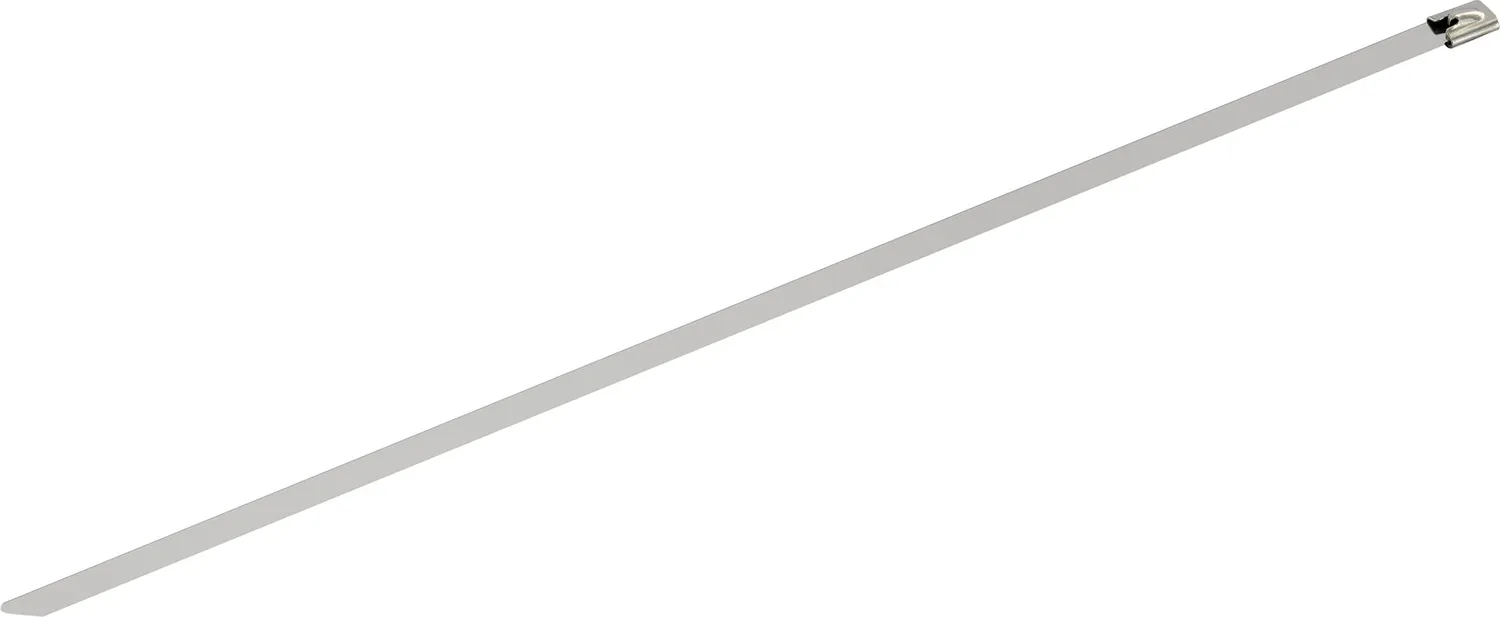 SCHWAIGER Fascette inox 40 cm set 10 pezzi