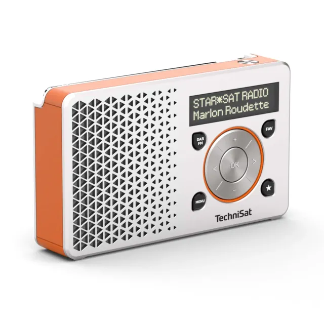 TechniSat DIGITRADIO 1 Radio DAB+ Portatile Argento/Arancione OLED