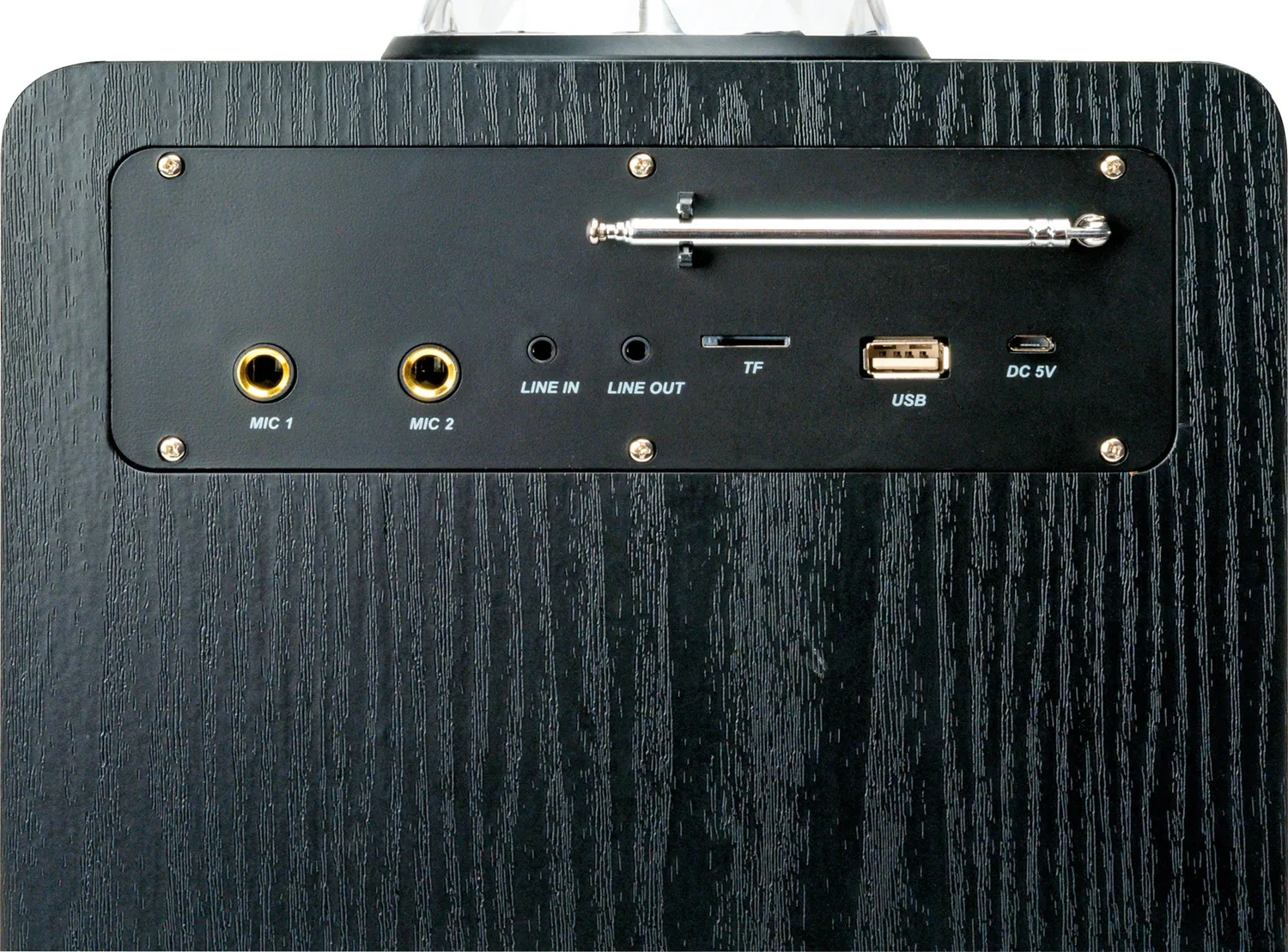 SCHWAIGER PSD30 Cassa Bluetooth 30W Nera Karaoke