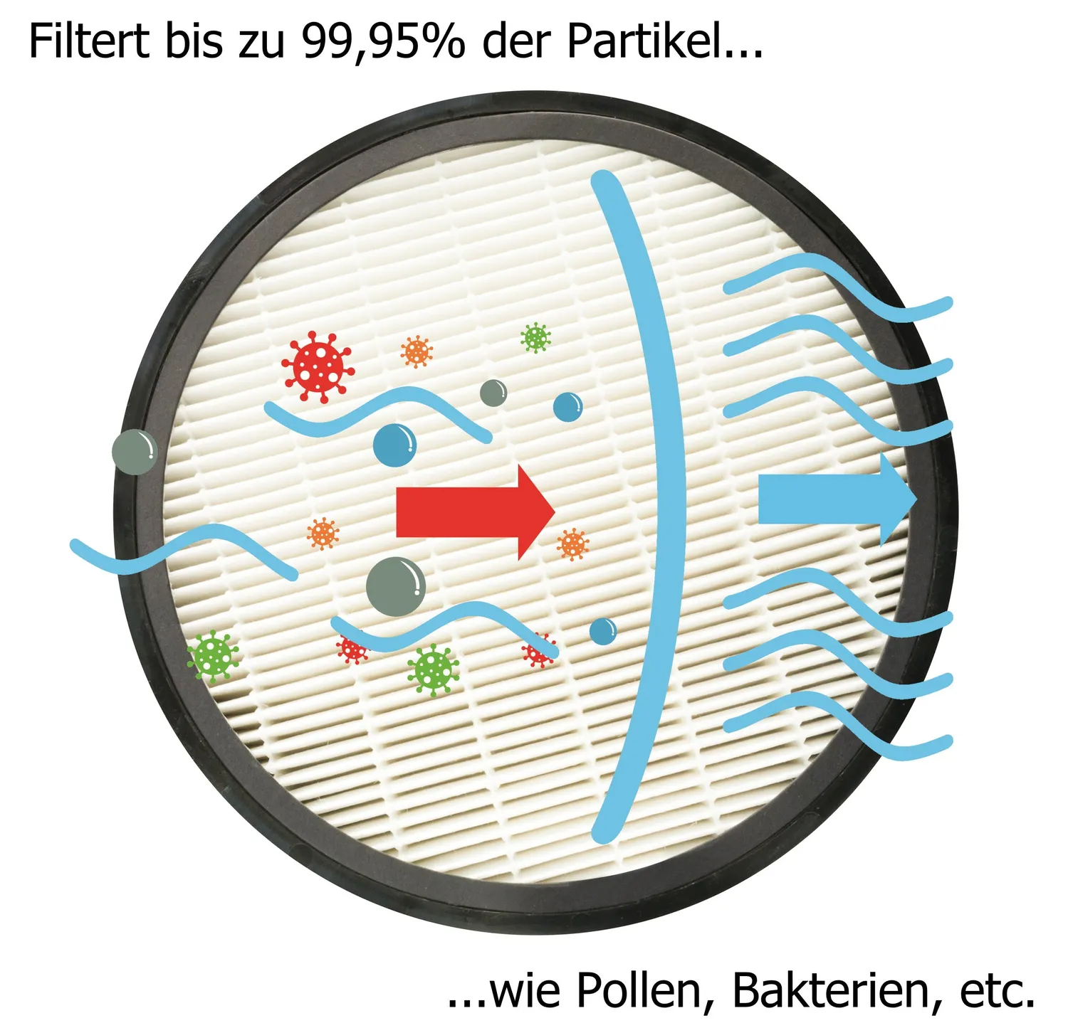 Schwaiger Filtro HEPA H13 Carboni Attivi Purificatore 658002
