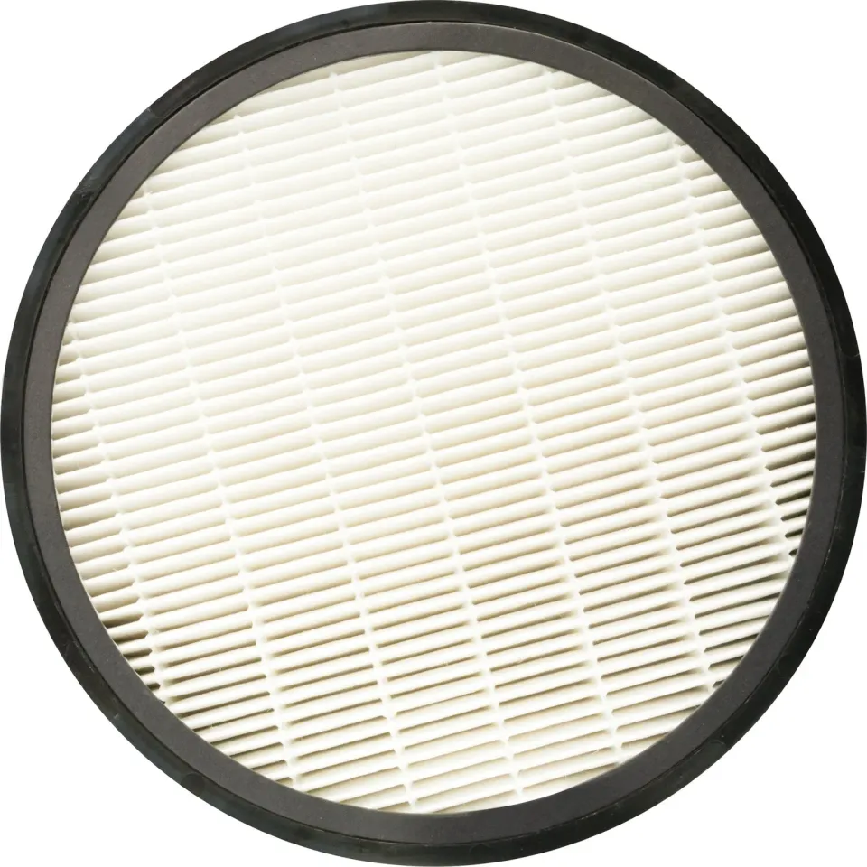 Schwaiger Filtro HEPA H13 Carboni Attivi Purificatore 658002