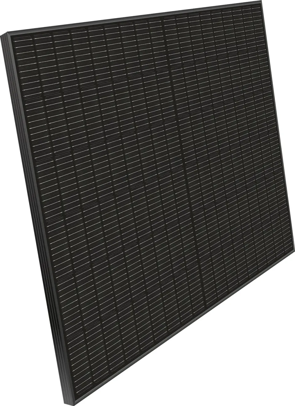 Schwaiger Bifacial 450 Wp modulo solare 450W bifacciale
