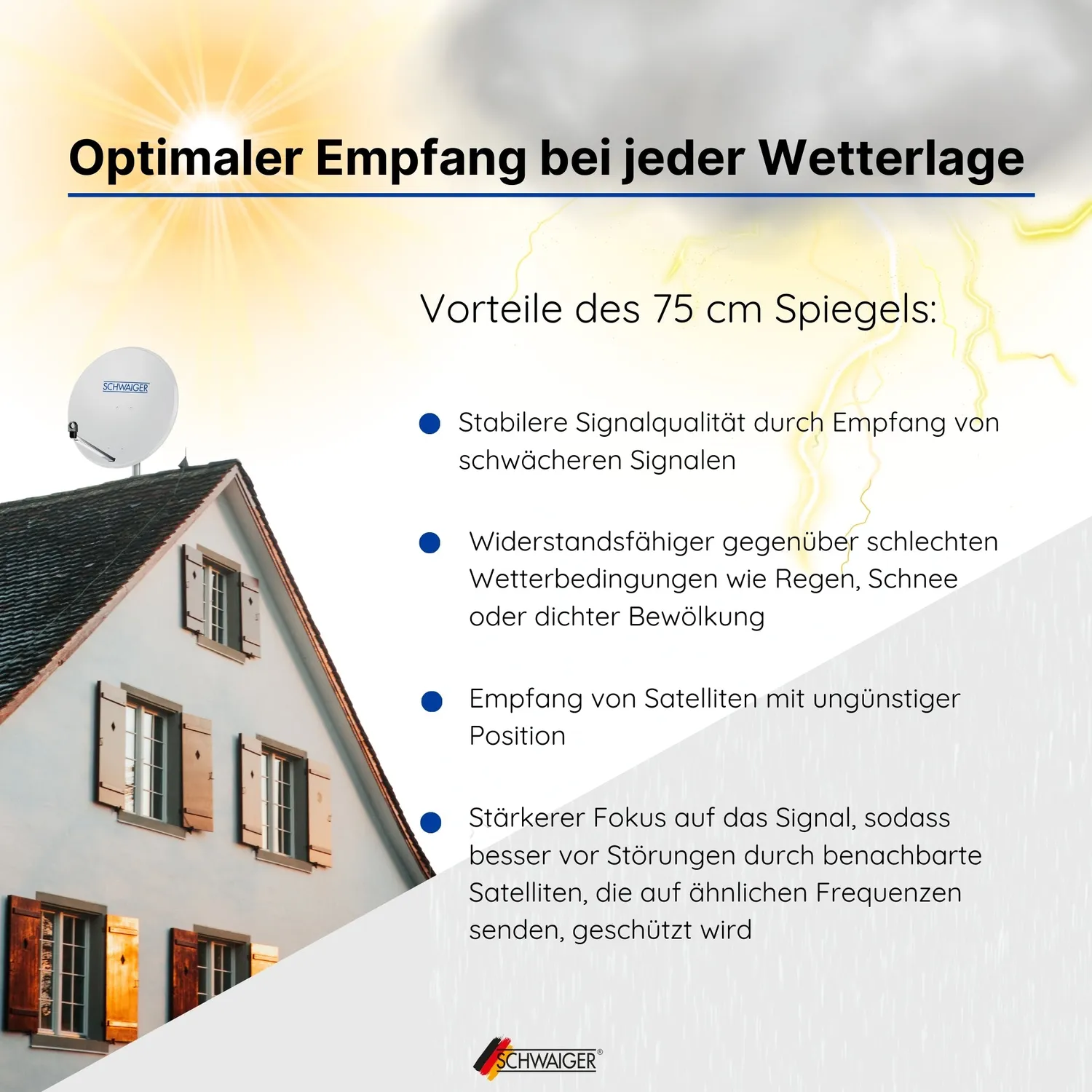 SCHWAIGER Parabola acciaio 75 cm kit Quad LNB