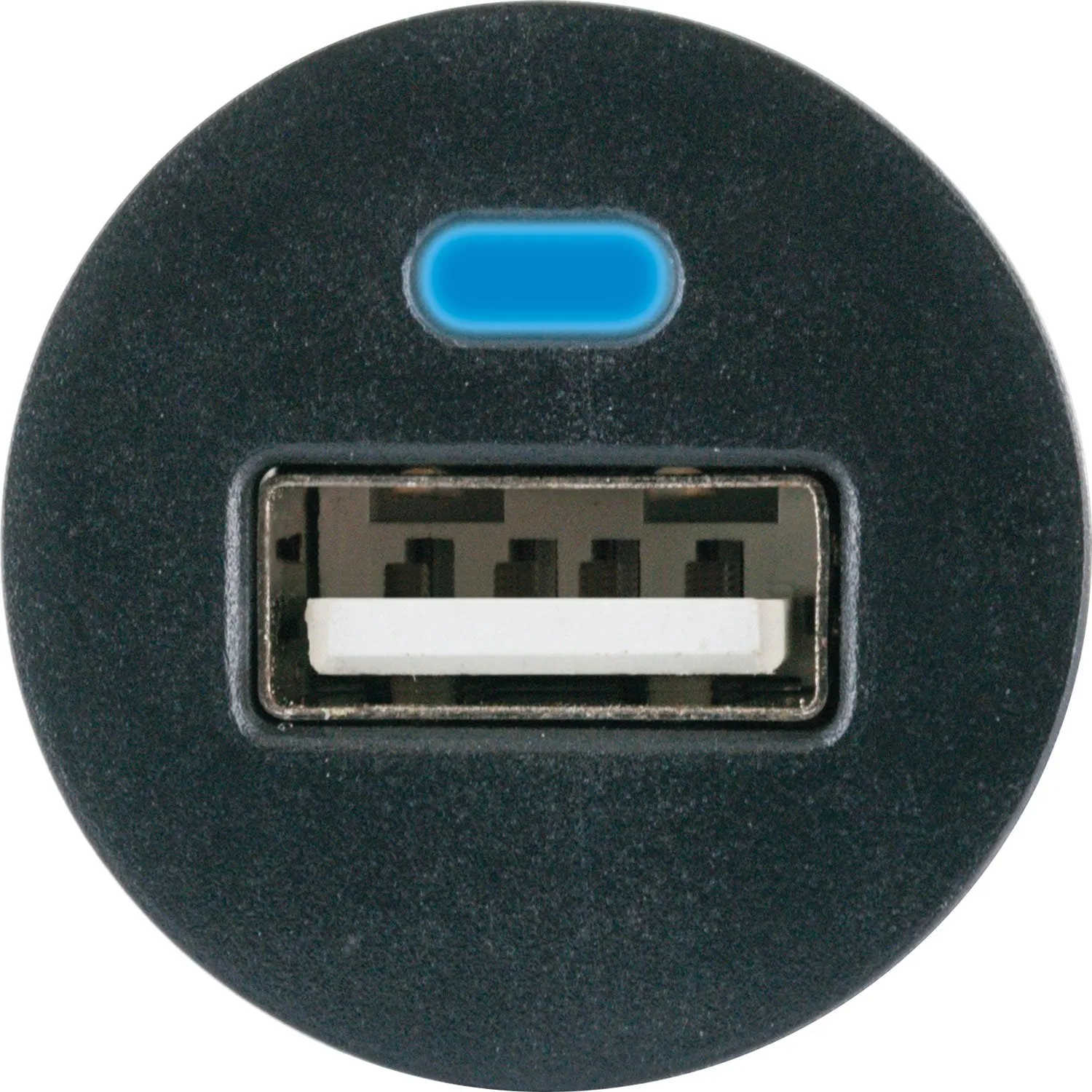 Schwaiger caricabatterie auto USB-A 12W nero 12-24V