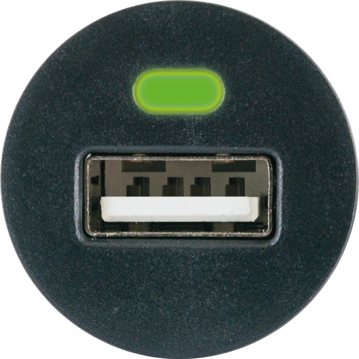 SCHWAIGER Caricabatterie Auto USB 12V/24V 2,4A Nero