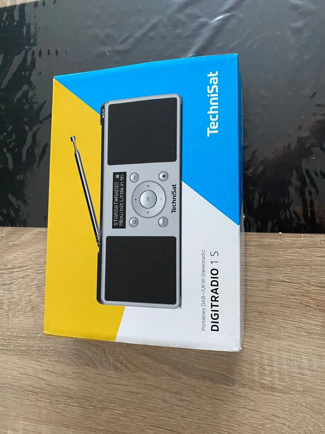 TechniSat DIGITRADIO 1 S radio DAB portatile argento