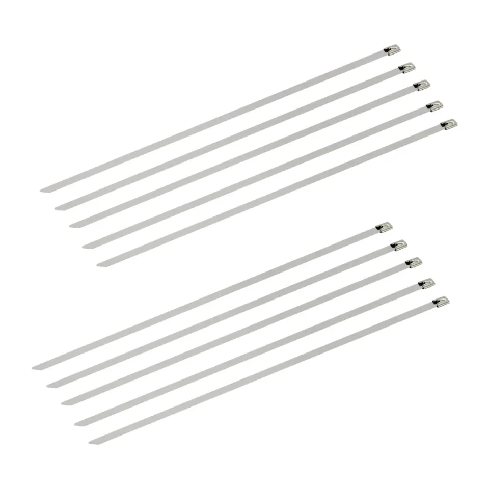 Schwaiger Fascette Acciaio Inox 25 cm Set 10 Pezzi