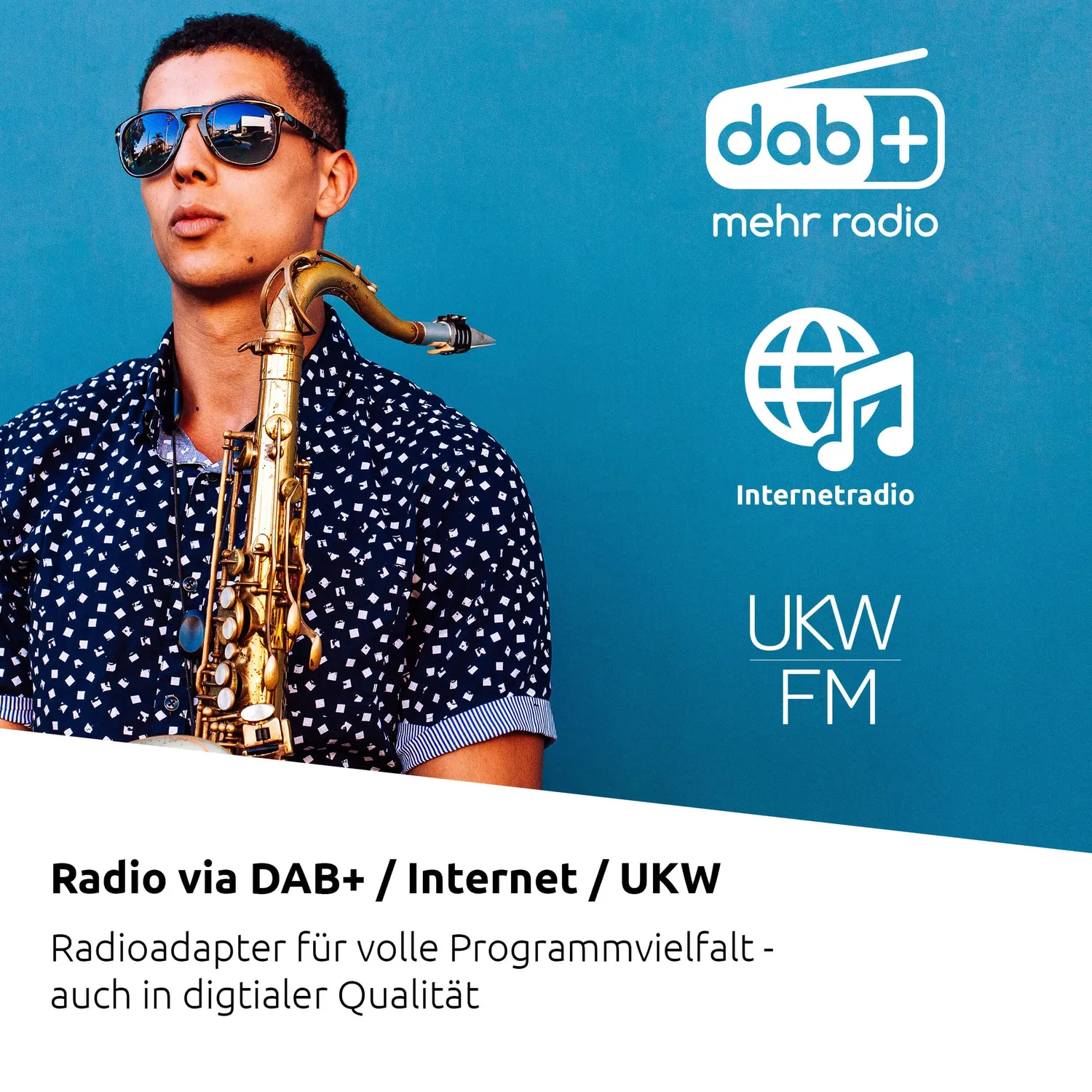 TechniSat DIGITRADIO 602 Radio Internet Argento con CD